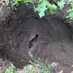 Pipe Leak Detection Repair Services