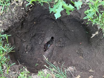 Pipe Leak Detection Repair Services