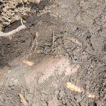Residential Leak Detection Repair Services